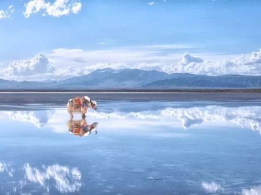 9D8N CARAVAN ESSENTIALS: QINGHAI-GANSU GREAT LOOP