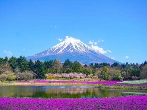 8D6N CENTRAL JAPAN