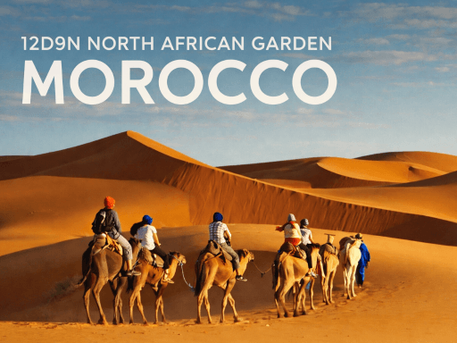 12D9N NORTH AFRICAN GARDEN MOROCCO
