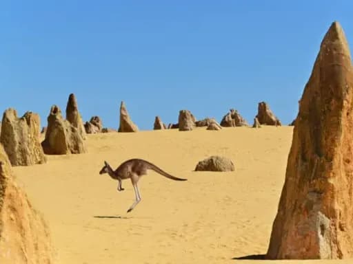 8D7N PERTH LEISURE GETAWAY