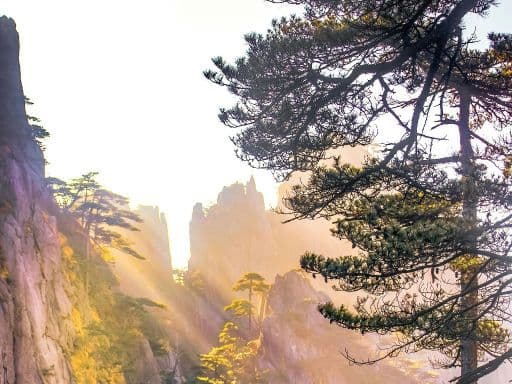 8天7晚 黄山+江西(上海进出)